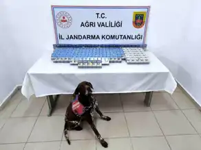 Ağrı'da 2 Bin Paket Kaçak Sigara!