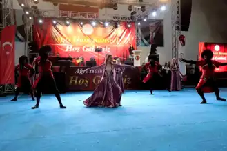 Ağrı'da Coşkulu Halk Konseri: Unutulmaz Bir Gece