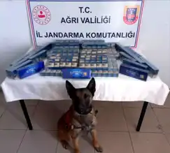 Ağrı'da 6548 Paket Kaçak Sigara Ele Geçirildi