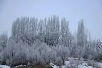 Ağrı'da Şiddetli Soğuk: Hayatı Felç Etti!