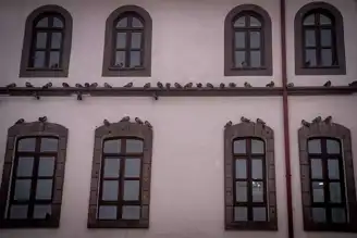 Doğu Anadolu'da Yoğun Kar Yağışı