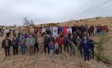 Türkiye'de Geniş Kapsamlı Fidan Dikim Kampanyası
