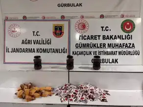 Gümrükte 6.8 Kg Kaçak Safran Ele Geçirildi
