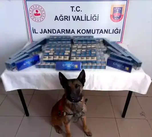 Ağrı'da 6548 Paket Kaçak Sigara Ele Geçirildi