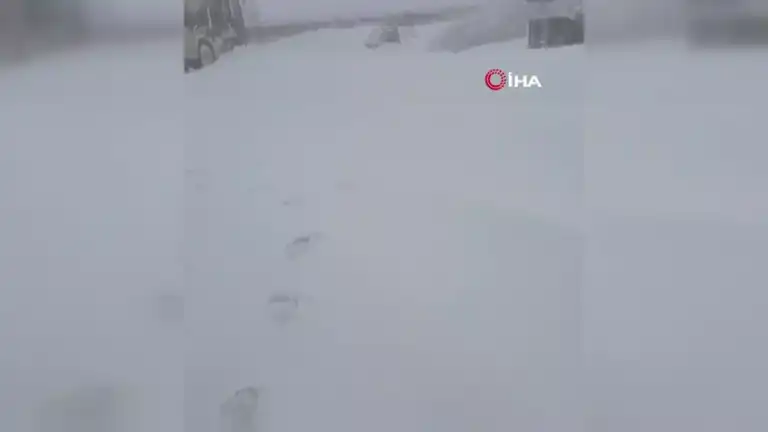 Doğu Anadolu'da Kışın Güzelliği: Beyaz Örtü