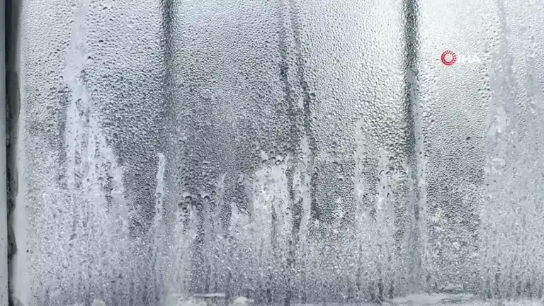 Doğu Anadolu'da Şiddetli Soğuklar: Buz Sarkıtları Oluştu
