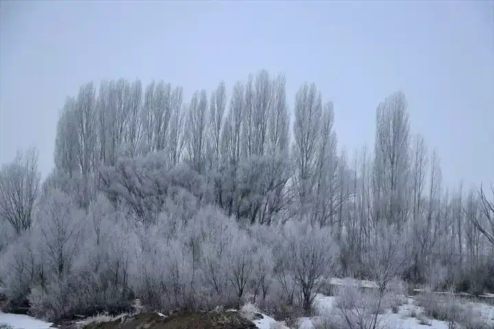 Ağrı'da Şiddetli Soğuk: Hayatı Felç Etti!