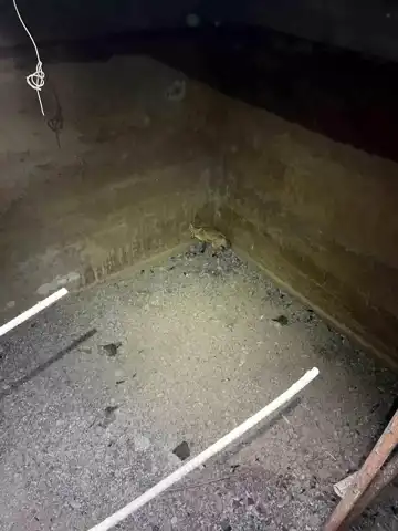 Beton Kuyudan Tilki Kurtarma Operasyonu